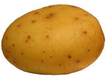 Aardappel Texel